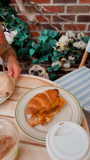   at Garden Carver in Brooklyn