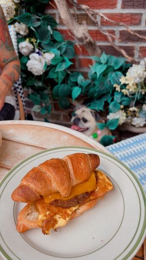   at Garden Carver in Brooklyn