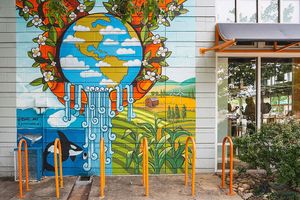  at Next Level Veggie Grill in Denver