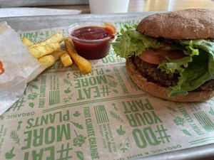 Quinoa burgerrs  at Next Level Veggie Grill in Denver
