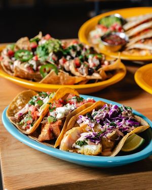wow at Next Level Veggie Grill in Denver