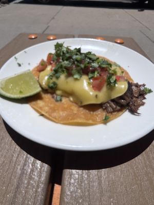Steak taco  at Next Level Veggie Grill in Denver