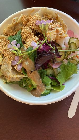 Vegan Dumpling Bowl  at Aiyaohno Cafe in Vancouver
