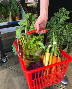  at Klippers Marketplace and Cafe in Cawston