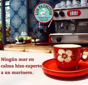  at Los Padmitos in Tumbaco