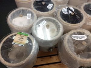  at Health Haven Market in Hainesport