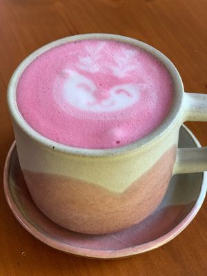  at Gratitud in San Isidro De El General