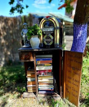 Vintage at Lotus Mellow in Valea Lunga