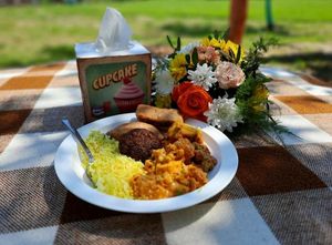 Romanian dishes at Lotus Mellow in Valea Lunga