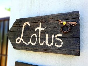 Lotus mellow at Lotus Mellow in Valea Lunga