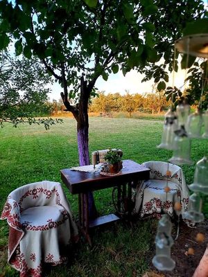 Sitting  at Lotus Mellow in Valea Lunga