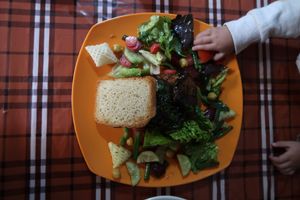 Tofu sandwich at Honey and Spice in Pushkar
