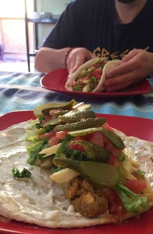 Falafel Bulgaro un deleite para el paladar! 100%vegan! at Rupa Veg in La Serena