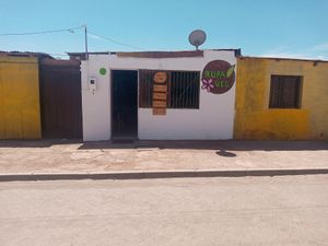 Ubicados a la entrada de los algarrobos at Rupa Veg in La Serena