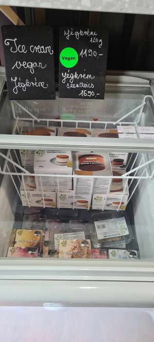 vegan icecreams at Esther's in Budapest