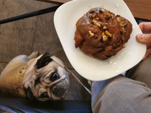  at Caneca Café in Sao Paulo