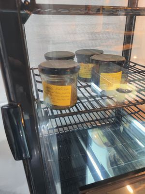 Spreads at La Consciente in Barcelona