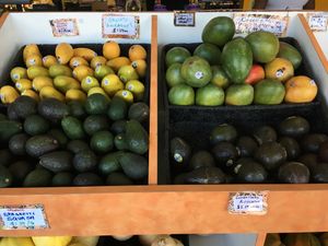 Organic avocados are cheaper but smaller than conventional ones. at Mandela Food Cooperative in Oakland