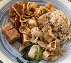 Salt & Pepper Tofu, Mapo Tofu, and Chinese Broccoli Chow Fun 🥰  at Nature Vegetarian Restaurant in Oakland