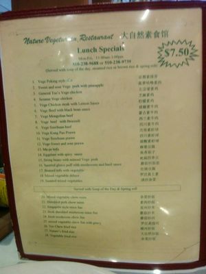 Lunch special at Nature Vegetarian Restaurant in Oakland