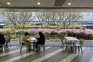 Nice view from the tables at the back  at SIN - Ding Shang Vegetarian 鼎上- T2 in East Singapore