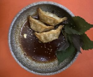 Gyozas.  at Beyond Ramen in Berlin