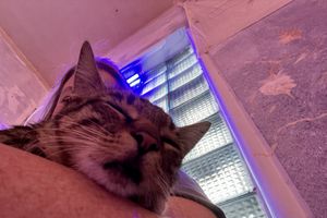   at SHPANA in Tbilisi