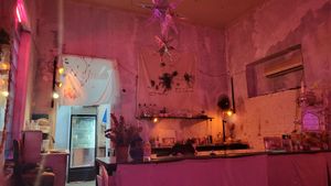  at SHPANA in Tbilisi