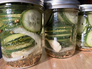 Pickles  at That's My Jam in Peoria