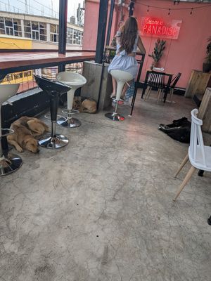  at The Little Spoon in Panajachel