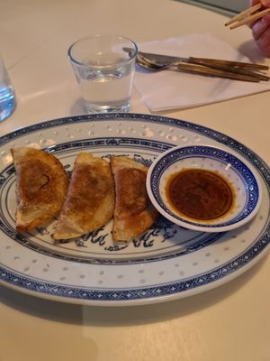 Dumplings at Chay Vegan in Stavanger