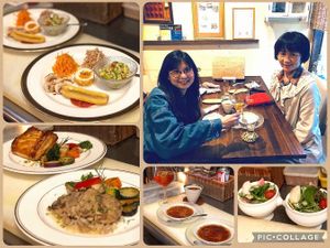 Customers from overseas at Cafe Banmari in Mishima