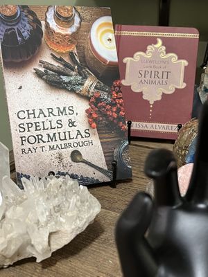 Fun to look through their merchandise options while waiting for food   at Barely Vegans in New Rochelle