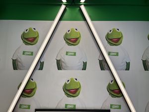 Kermit!  at Oowee Vegan in Brighton