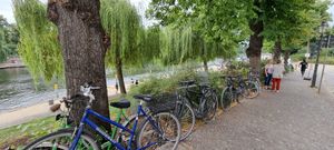 Chilled vibe around at bohnarchie  in Brandenburg An Der Havel