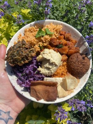   at Sprout in Weston-super-mare