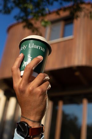  at Holy Llama - Sintagma in Athens