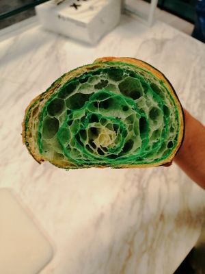  at Holy Llama - Sintagma in Athens