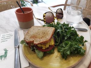  at Holy Llama - Sintagma in Athens