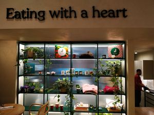 #Veganuary at Holy Llama - Sintagma in Athens