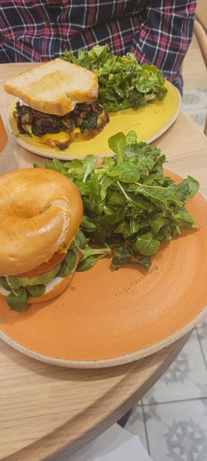  at Holy Llama - Sintagma in Athens