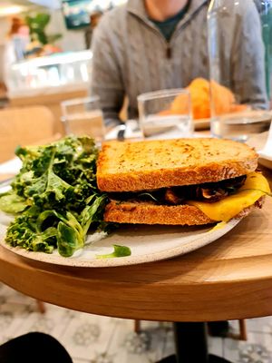  at Holy Llama - Sintagma in Athens