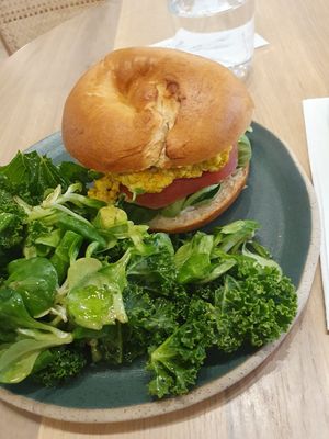  at Holy Llama - Sintagma in Athens