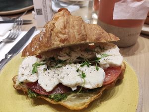  at Holy Llama - Sintagma in Athens