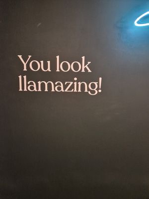  at Holy Llama - Sintagma in Athens