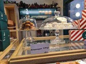  at Holy Llama - Sintagma in Athens