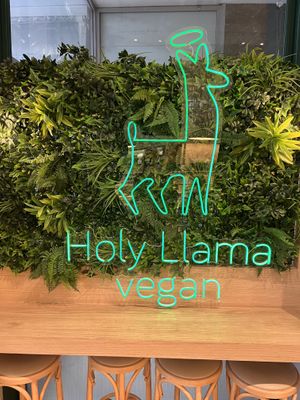   at Holy Llama - Sintagma in Athens