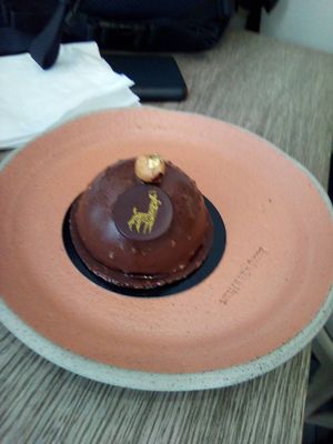  at Holy Llama - Sintagma in Athens