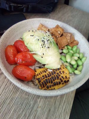  at Holy Llama - Sintagma in Athens