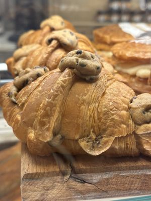 Crookie  at Holy Llama - Sintagma in Athens